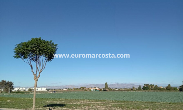 Sale - Villa - Daya Vieja