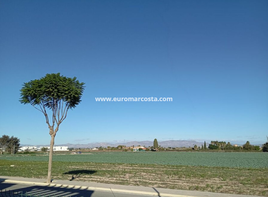 Sale - Villa - Daya Vieja