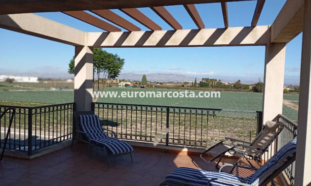 Sale - Villa - Daya Vieja