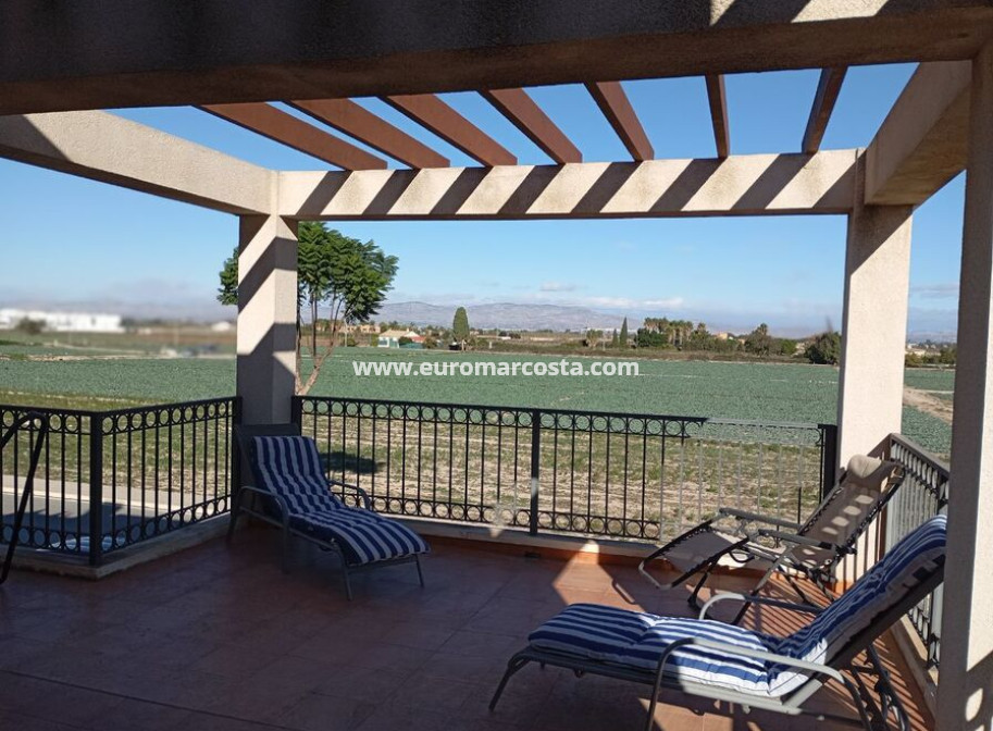 Sale - Villa - Daya Vieja