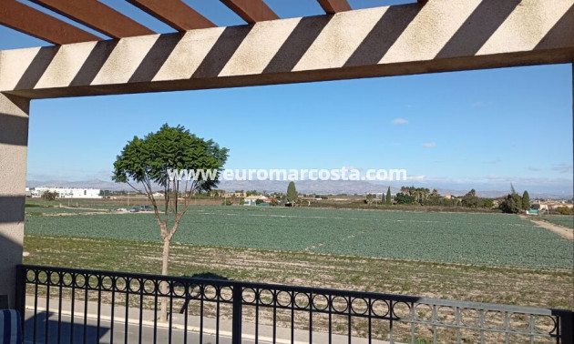 Sale - Villa - Daya Vieja