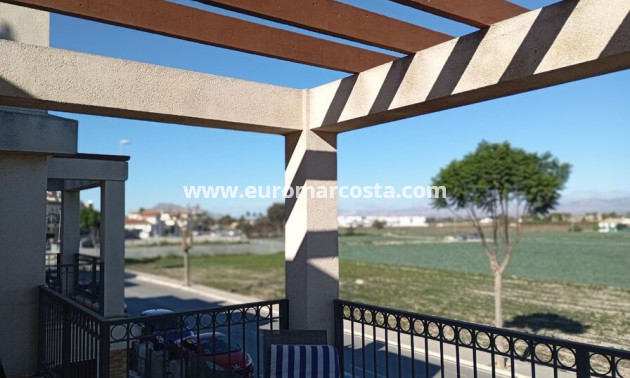 Sale - Villa - Daya Vieja