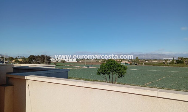 Sale - Villa - Daya Vieja