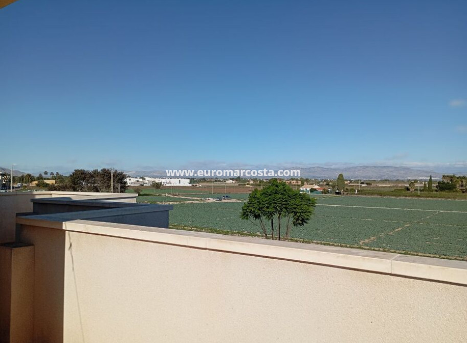 Sale - Villa - Daya Vieja