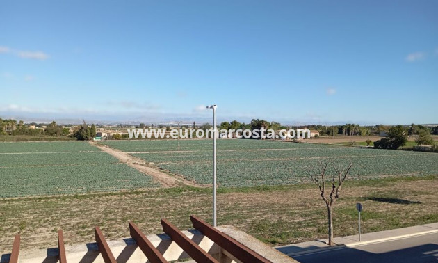 Sale - Villa - Daya Vieja