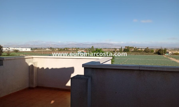 Sale - Villa - Daya Vieja