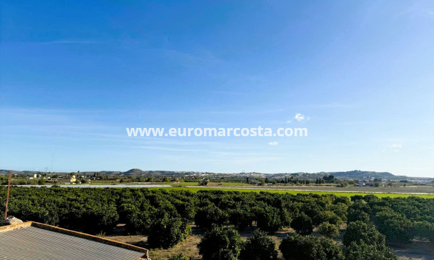 Sale - Casa - San Fulgencio