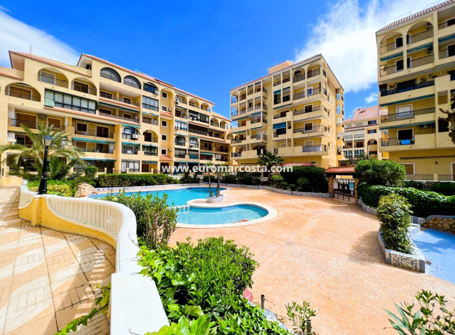 Objekte zum Wiederverkauf - Wohnstudio - La Mata