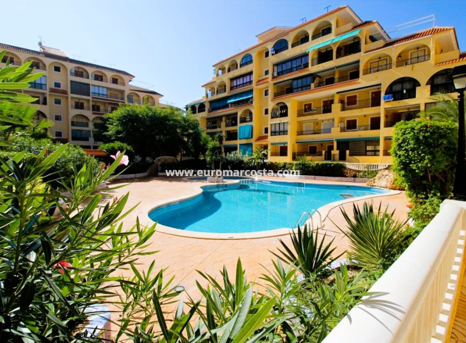 Objekte zum Wiederverkauf - Wohnstudio - La Mata