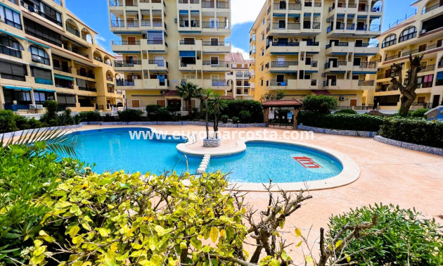 Objekte zum Wiederverkauf - Wohnstudio - La Mata