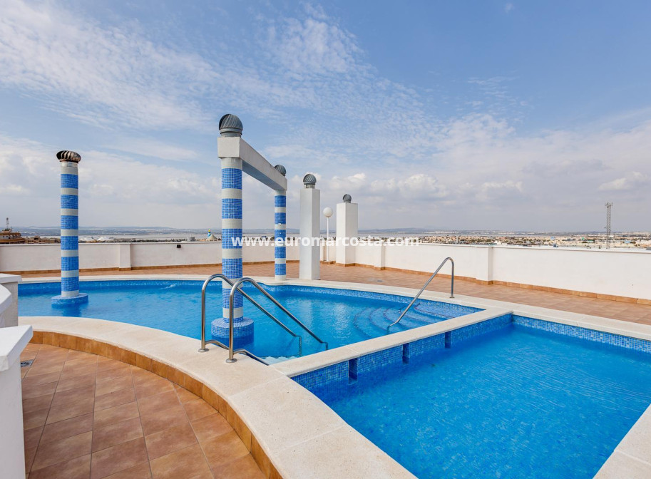 Venta - Apartamento / piso - Torrevieja - TORREVIEJA
