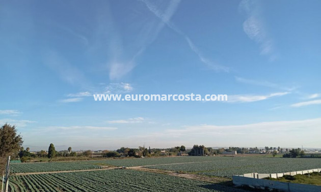 Objekte zum Wiederverkauf - Stadthaus - Daya Vieja