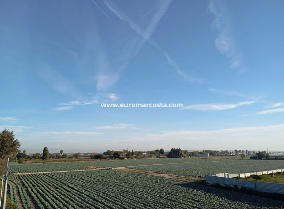 Objekte zum Wiederverkauf - Stadthaus - Daya Vieja