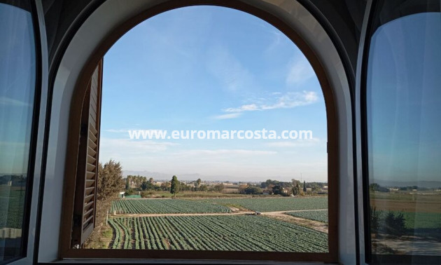 Objekte zum Wiederverkauf - Stadthaus - Daya Vieja
