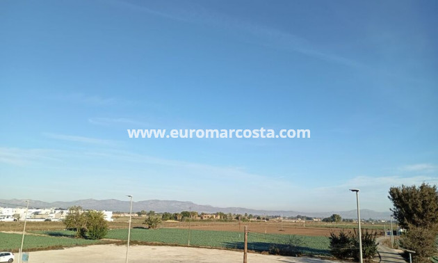 Objekte zum Wiederverkauf - Stadthaus - Daya Vieja