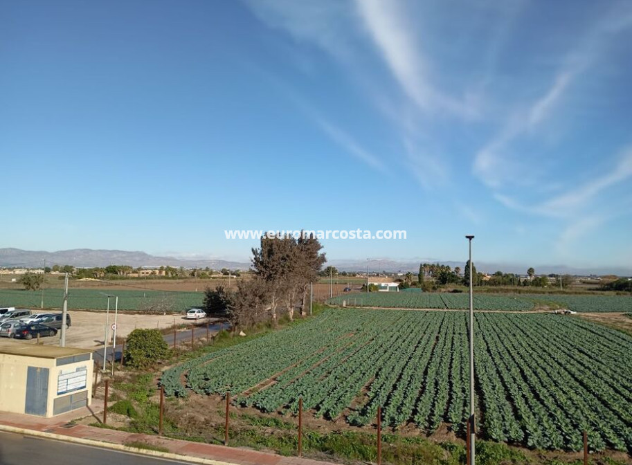 Venta - Duplex apartment - Daya Vieja