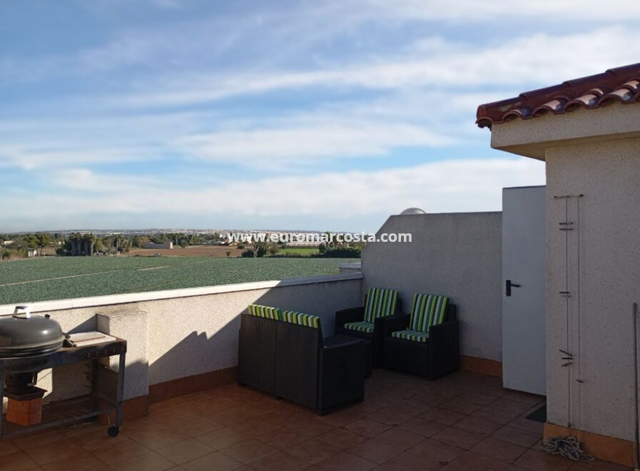 Venta - Duplex apartment - Daya Vieja