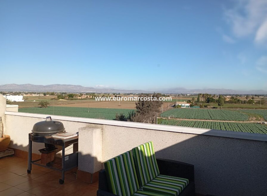 Venta - Duplex apartment - Daya Vieja