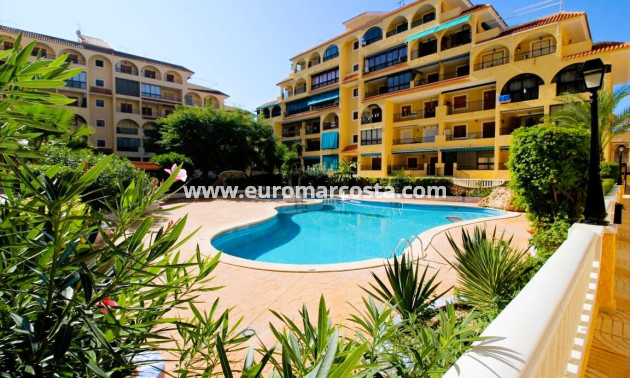 Venta - Estudio - La Mata