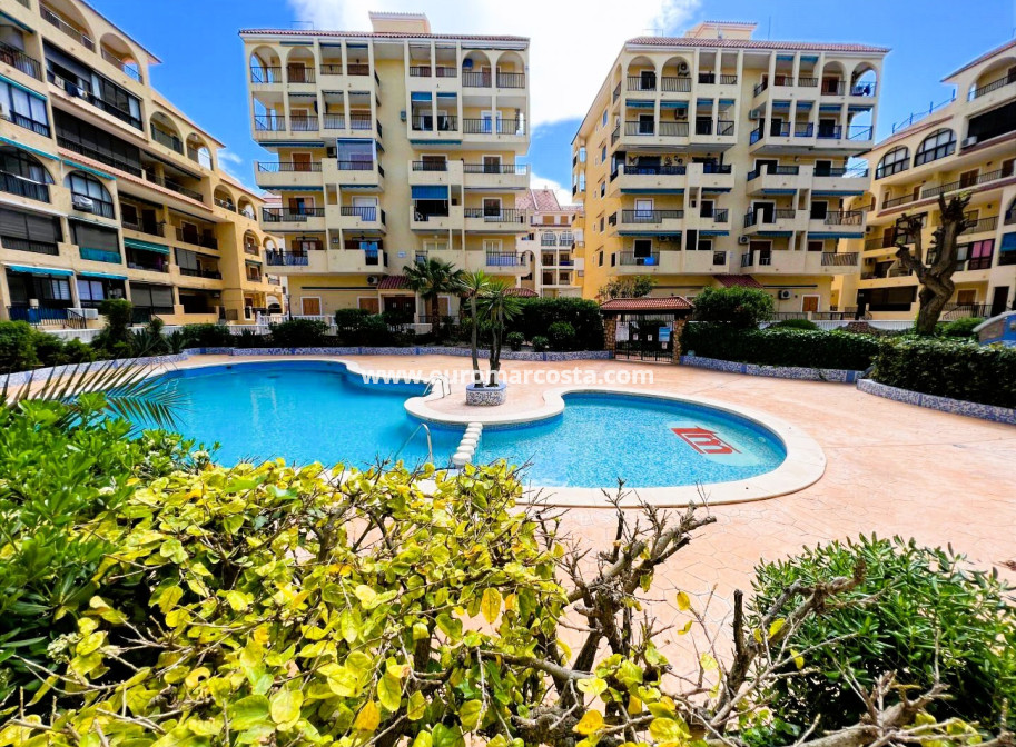 Venta - Estudio - La Mata