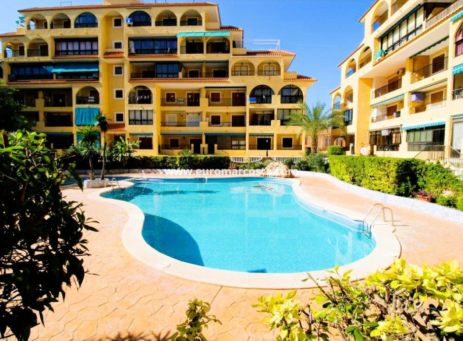 Venta - Estudio - La Mata