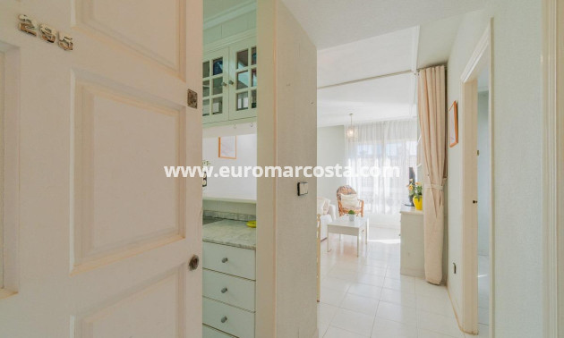 Objekte zum Wiederverkauf - Wohnung - Torrevieja - TORREVIEJA