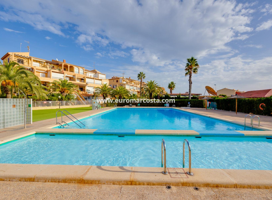 Venta - Estudio - Torrevieja - La Mata