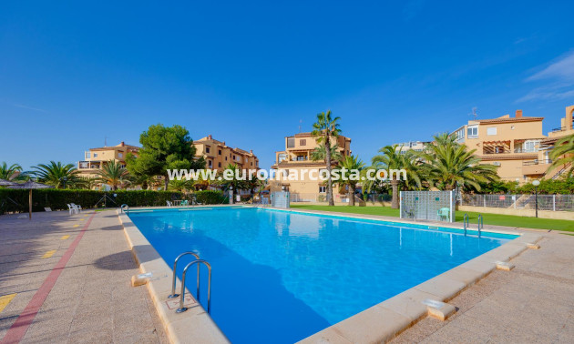 Venta - Estudio - Torrevieja - La Mata