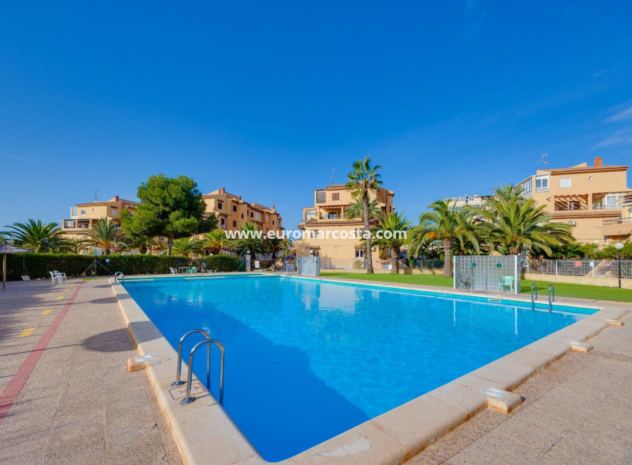 Venta - Estudio - Torrevieja - La Mata