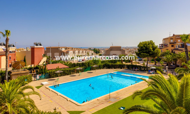 Venta - Estudio - Torrevieja - La Mata