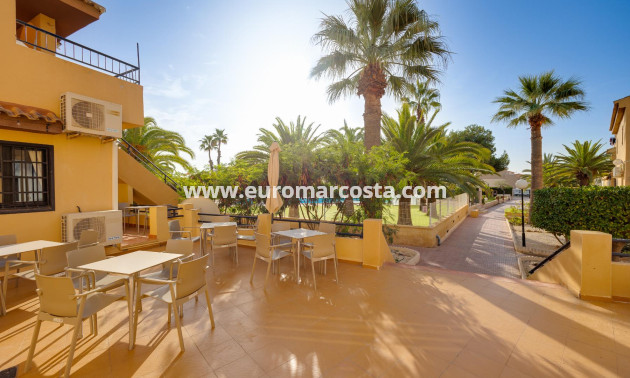 Venta - Estudio - Torrevieja - La Mata
