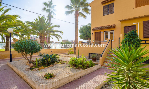 Venta - Estudio - Torrevieja - La Mata