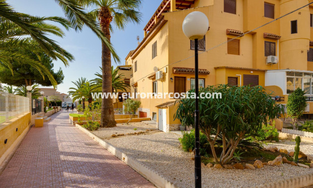 Venta - Estudio - Torrevieja - La Mata