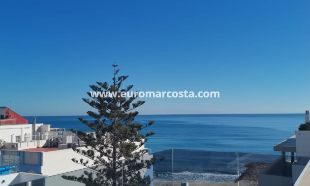 New Build - Penthouse - Torrevieja - TORREVIEJA