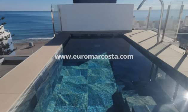 New Build - Penthouse - Torrevieja - TORREVIEJA