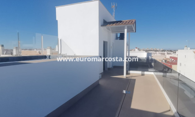 New Build - Penthouse - Torrevieja - TORREVIEJA