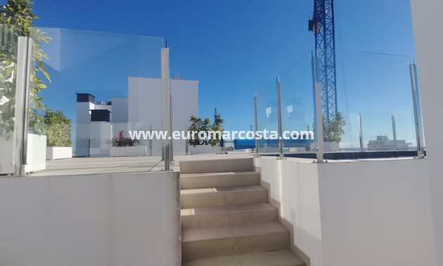 Neubauten - Wohnung - Torrevieja - TORREVIEJA