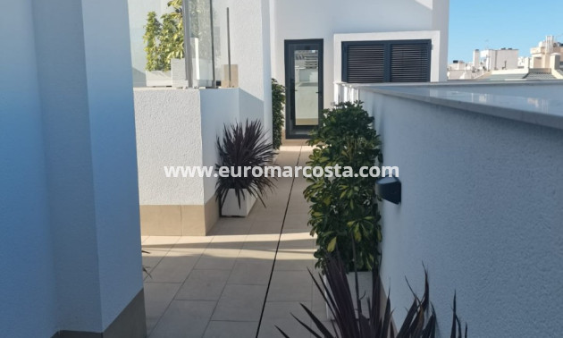 Neubauten - Wohnung - Torrevieja - TORREVIEJA