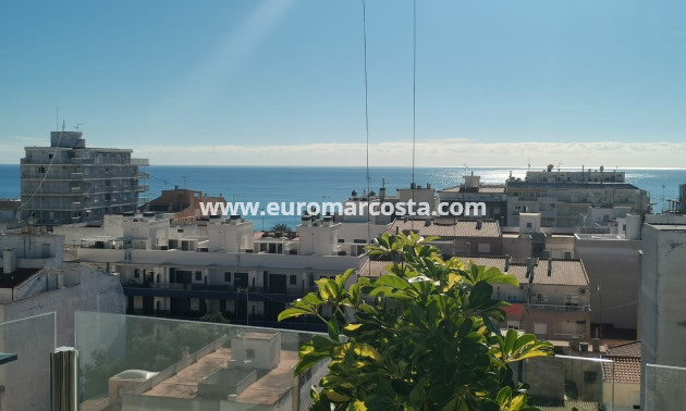 Neubauten - Wohnung - Torrevieja - TORREVIEJA