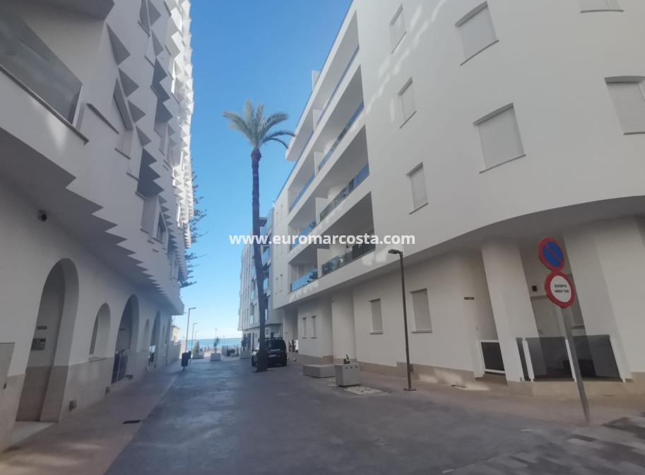 Nueva construcción  - Ático - Torrevieja - TORREVIEJA