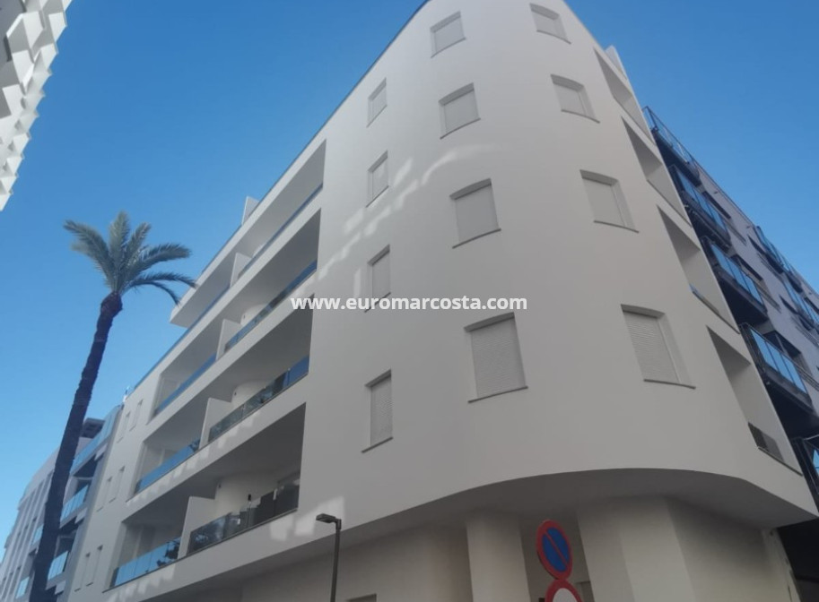 Nueva construcción  - Ático - Torrevieja - TORREVIEJA