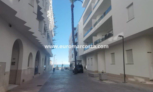 Nueva construcción  - Ático - Torrevieja - TORREVIEJA