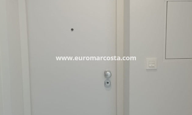 Nueva construcción  - Ático - Torrevieja - TORREVIEJA