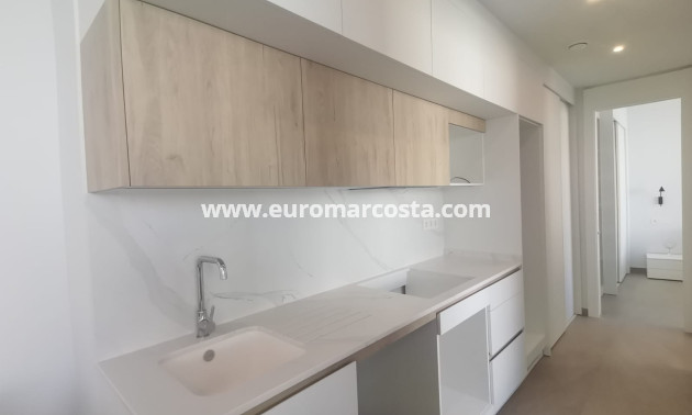 Nueva construcción  - Ático - Torrevieja - TORREVIEJA