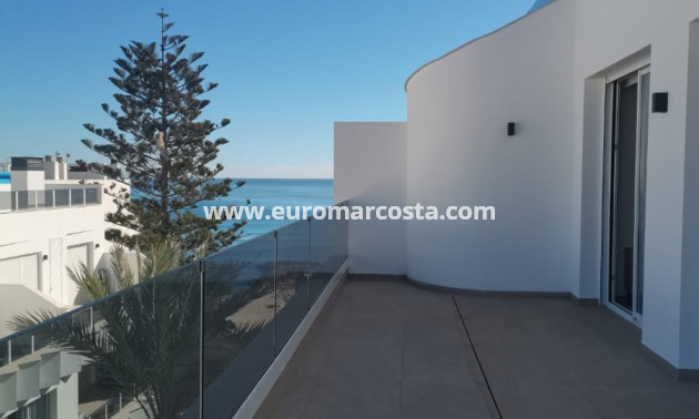 Nueva construcción  - Ático - Torrevieja - TORREVIEJA