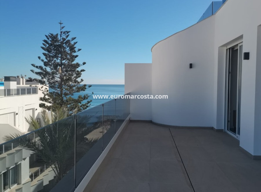 Nueva construcción  - Ático - Torrevieja - TORREVIEJA