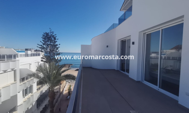 Nueva construcción  - Ático - Torrevieja - TORREVIEJA