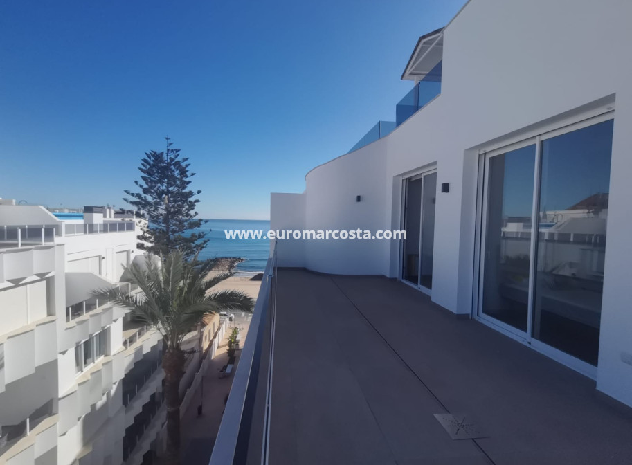 Nueva construcción  - Ático - Torrevieja - TORREVIEJA