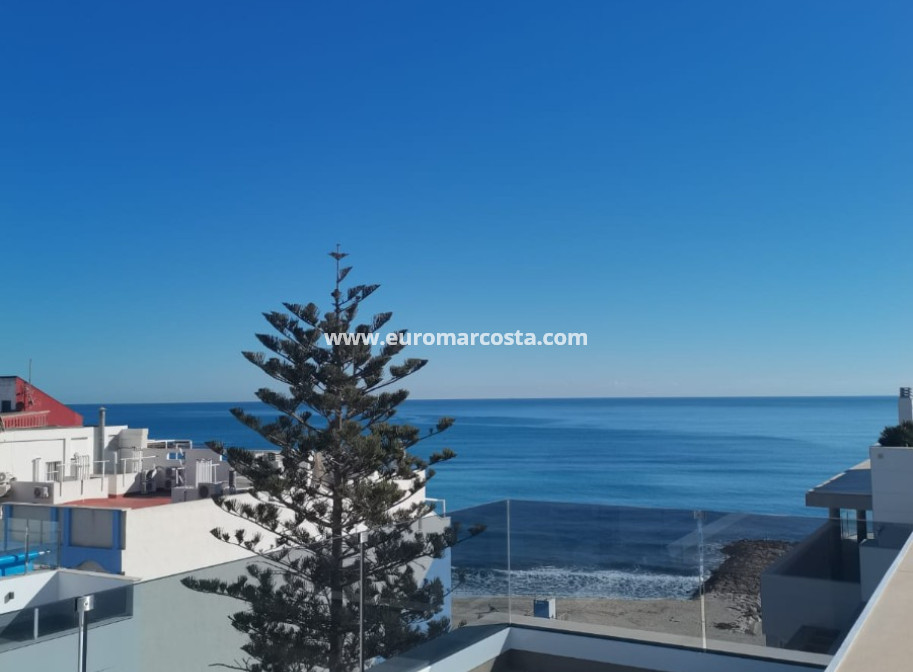 Nueva construcción  - Ático - Torrevieja - TORREVIEJA