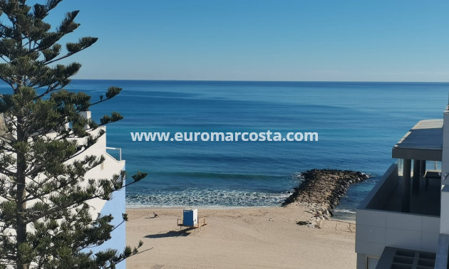 Nueva construcción  - Ático - Torrevieja - TORREVIEJA